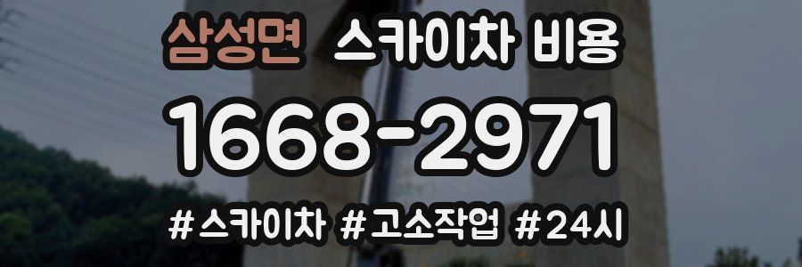 삼성면 스카이차 비용