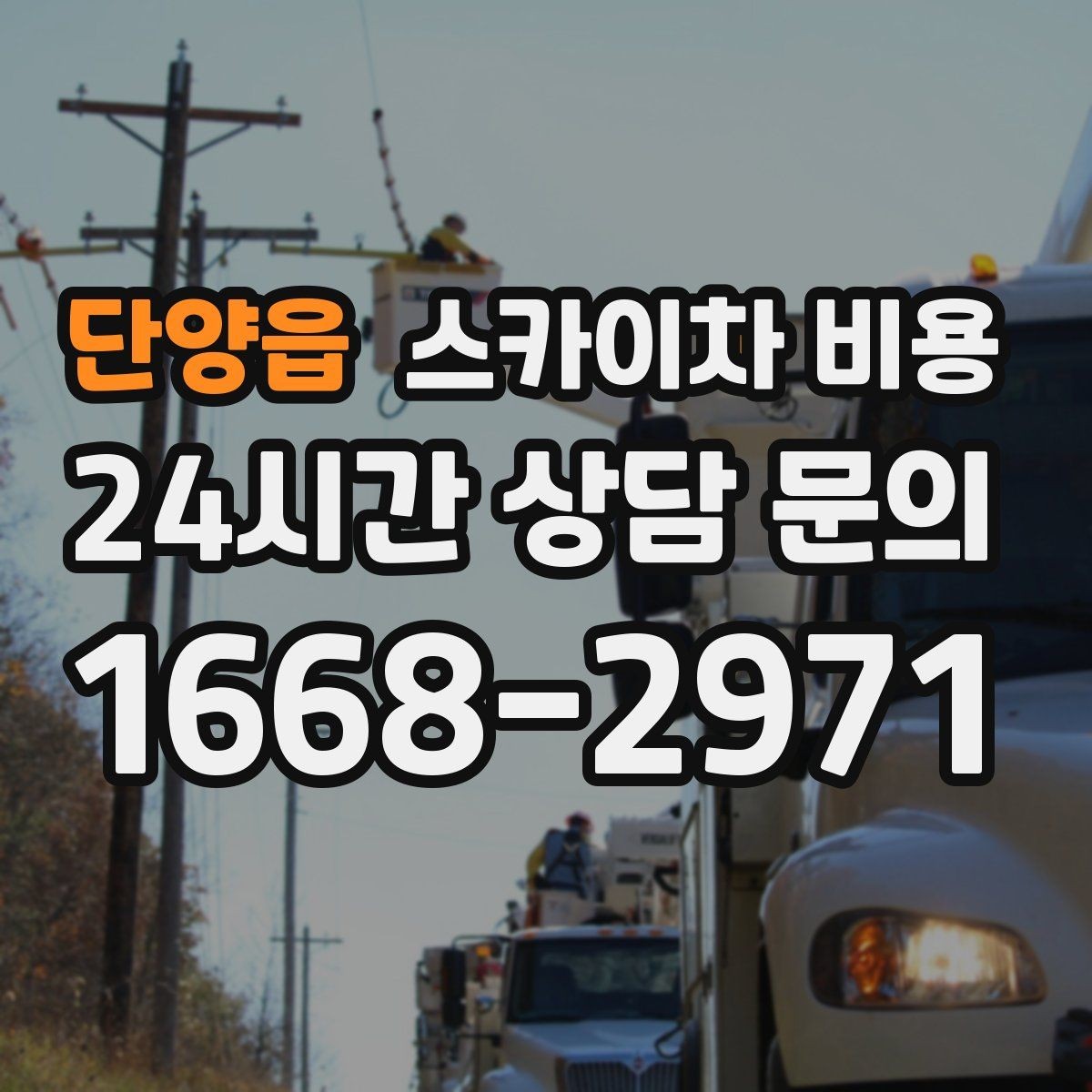 단양읍 스카이차 비용 작업 시간대(주간/야간/심야)과 대기 시간 차이 이해하기