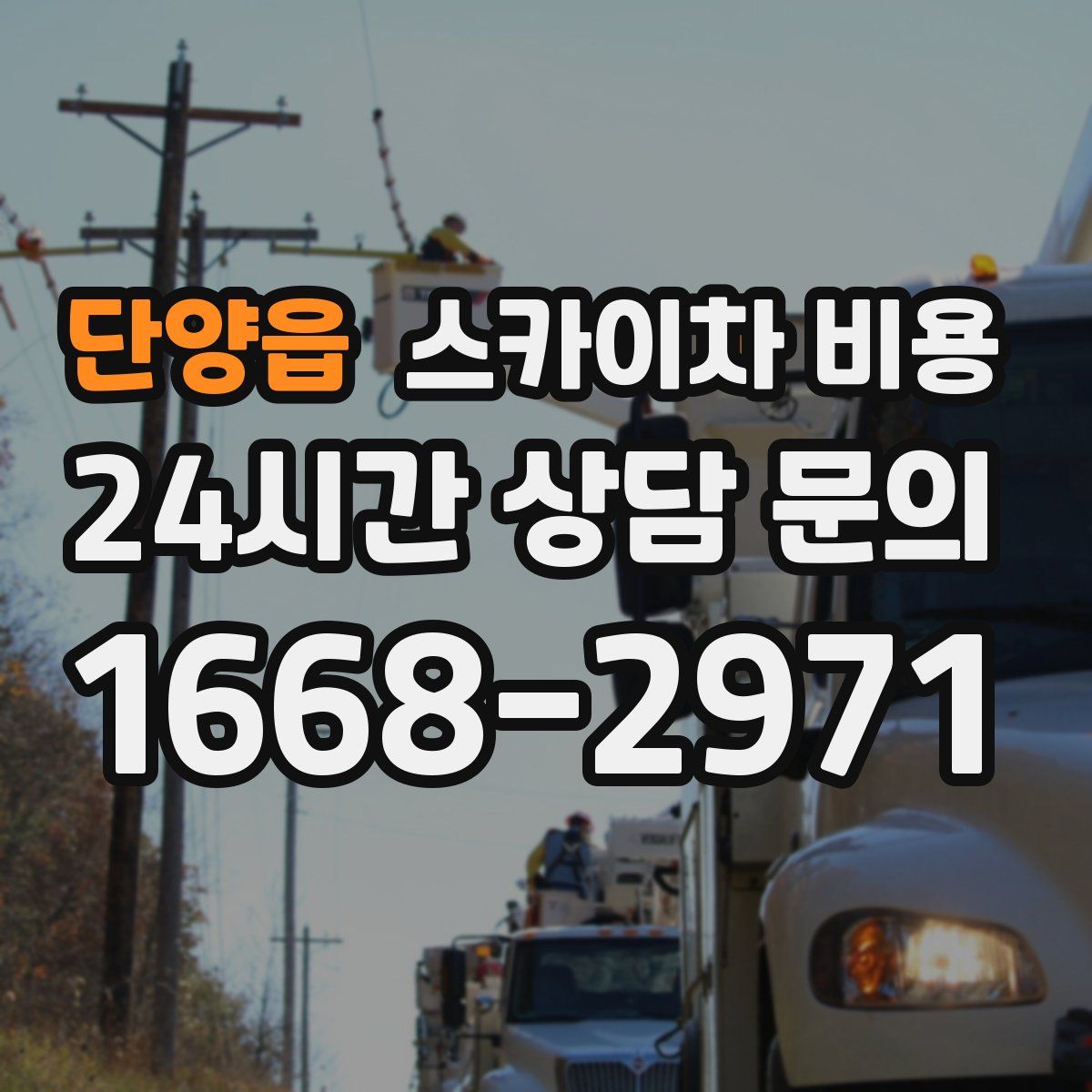 단양읍 스카이차 비용