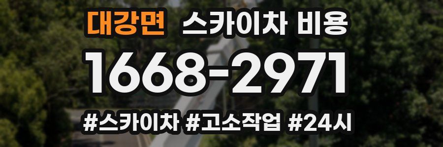 대강면 스카이차 비용