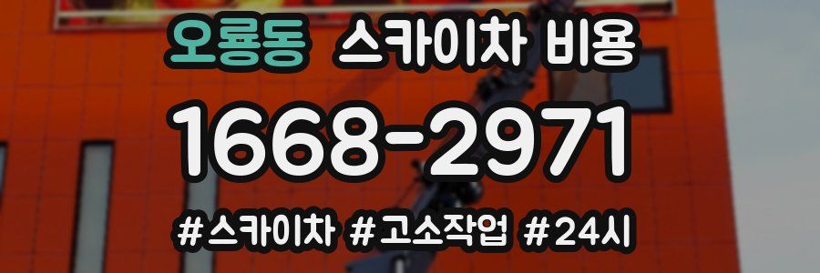 오룡동 스카이차 비용