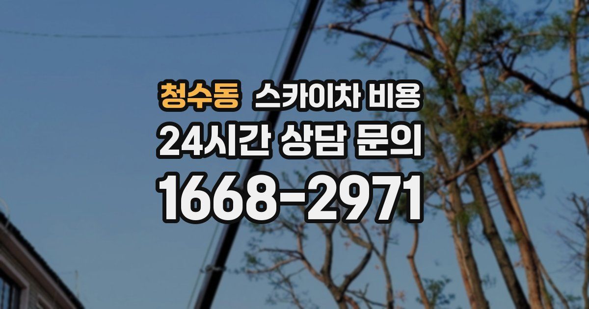 청수동 스카이차 비용