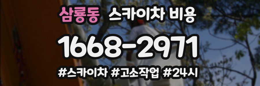 삼룡동 스카이차 비용