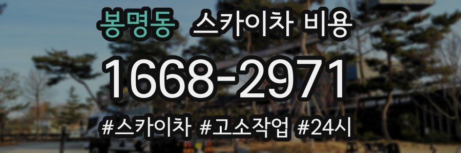 봉명동 스카이차 비용