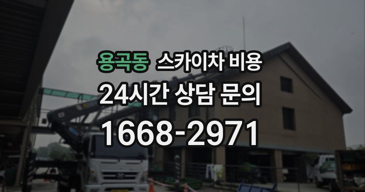 용곡동 스카이차 비용