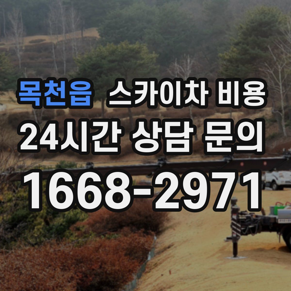 목천읍 스카이차 비용