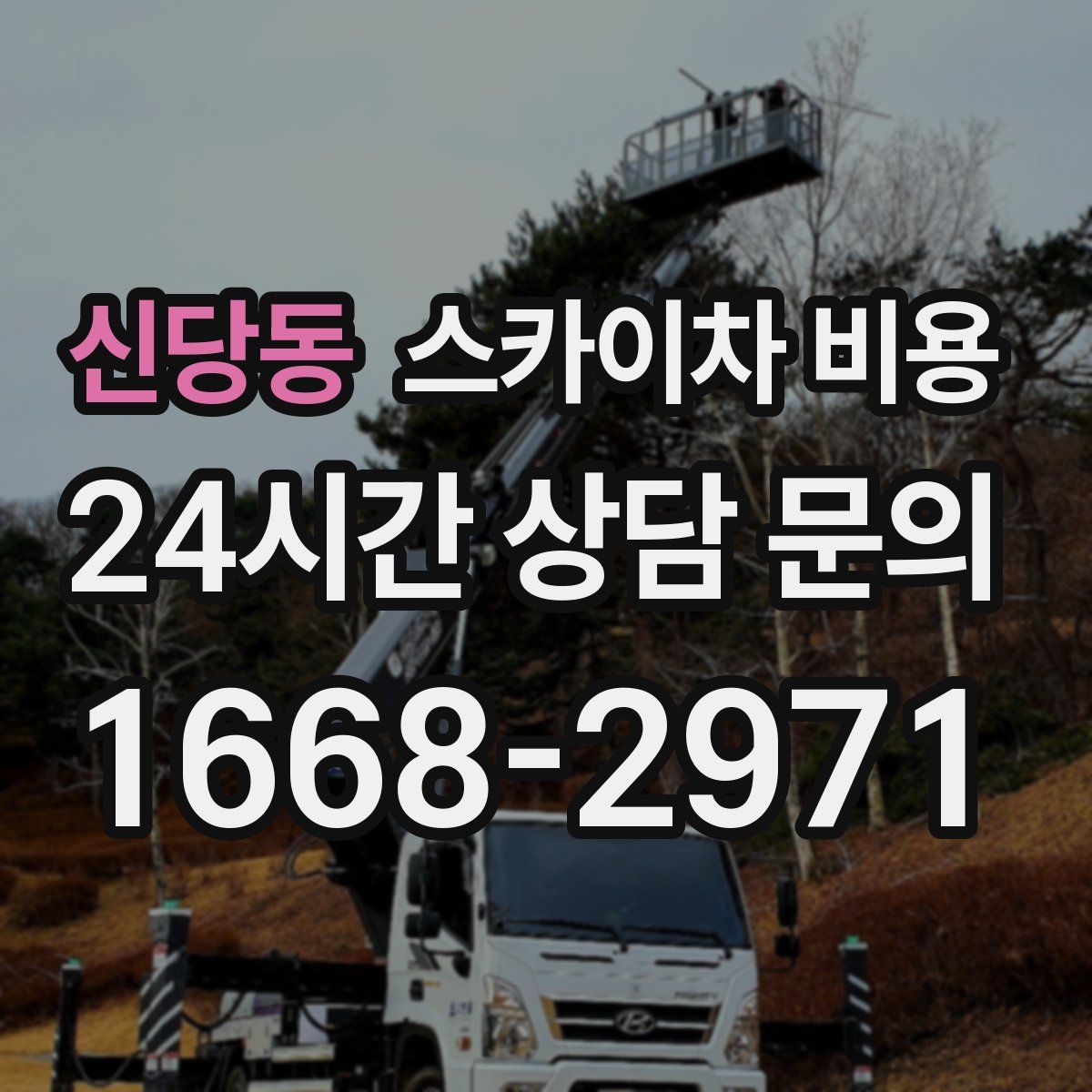 신당동 스카이차 비용