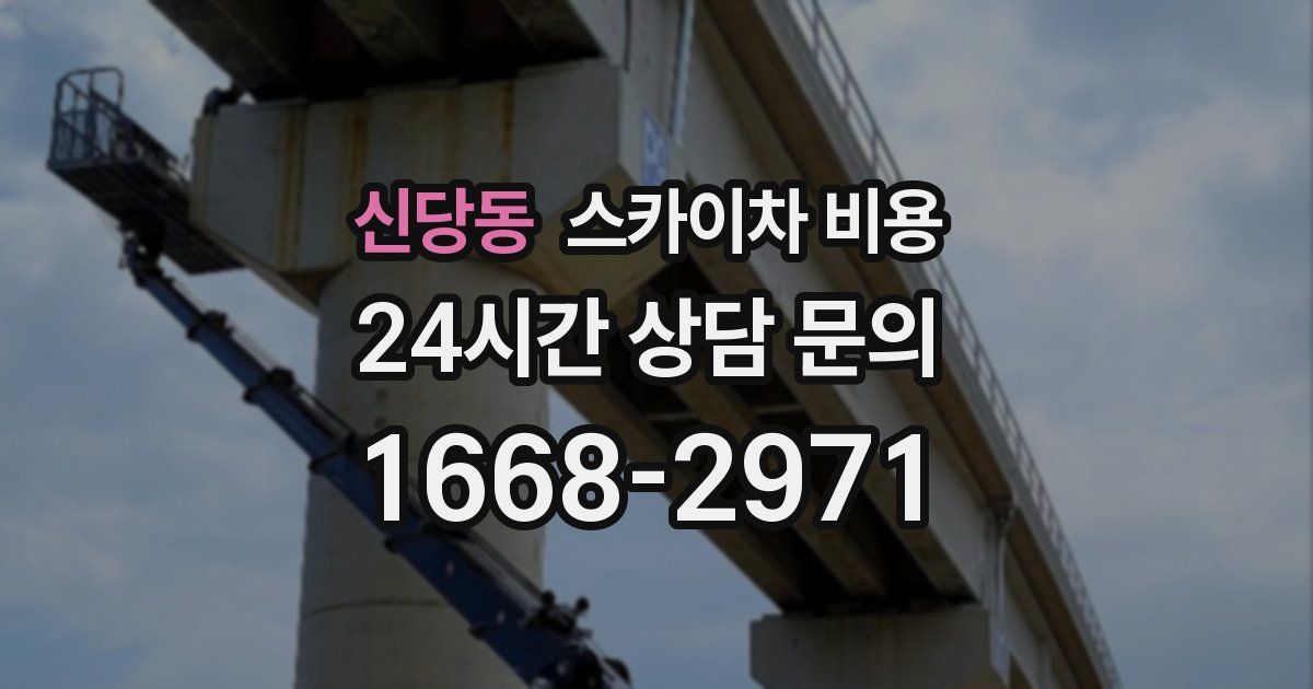 신당동 스카이차 비용