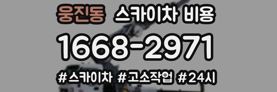 웅진동 스카이차 비용