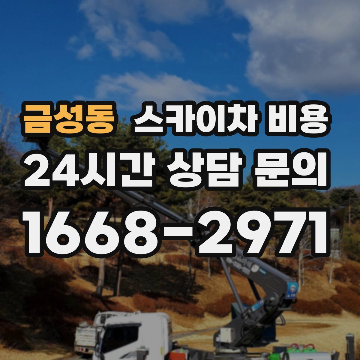 금성동 스카이차 비용