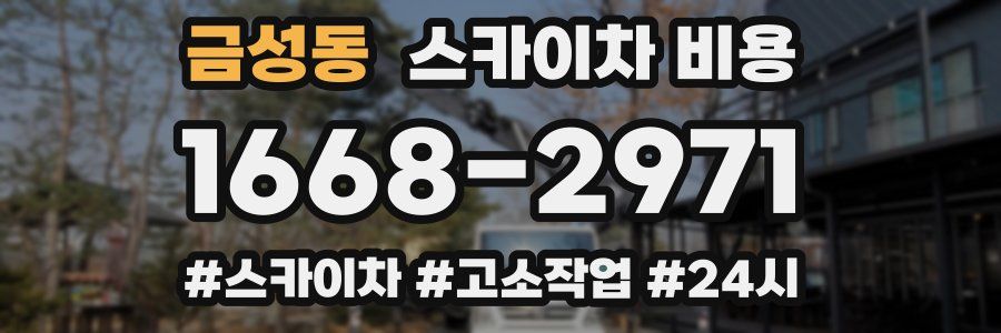 금성동 스카이차 비용