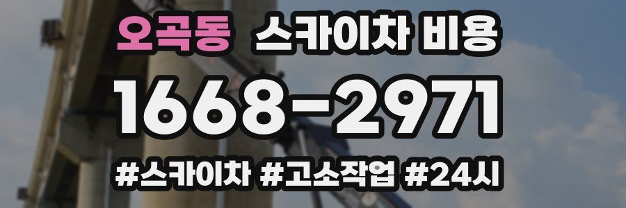 오곡동 스카이차 비용