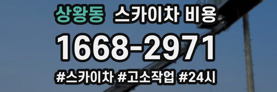 상왕동 스카이차 비용