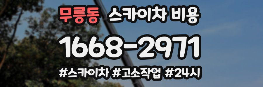 무릉동 스카이차 비용