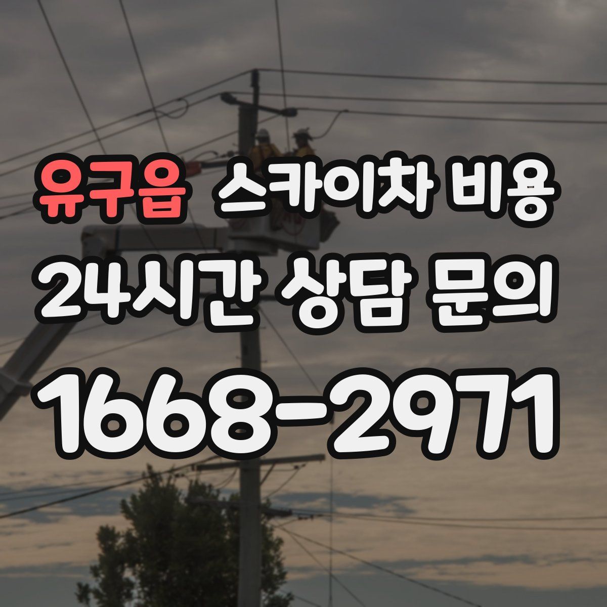 유구읍 스카이차 비용