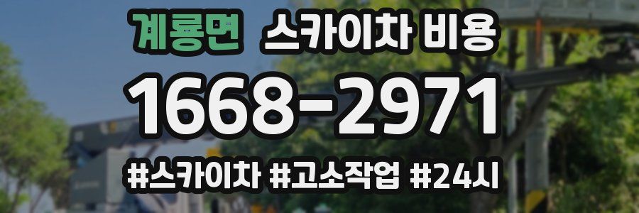 계룡면 스카이차 비용