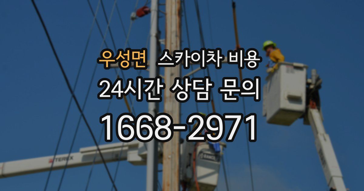 우성면 스카이차 비용