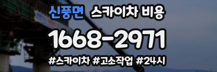 신풍면 스카이차 비용