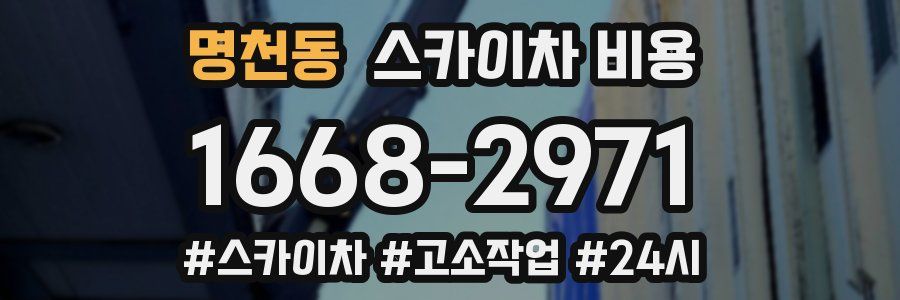 명천동 스카이차 비용