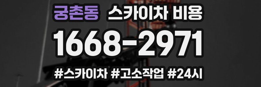 궁촌동 스카이차 비용