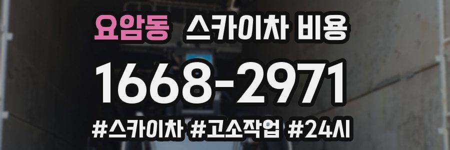 요암동 스카이차 비용