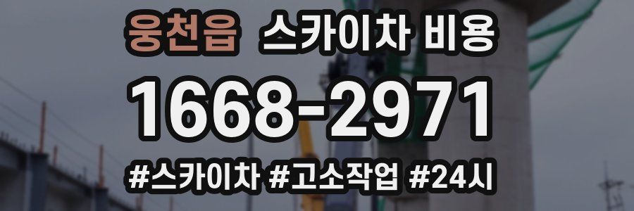 웅천읍 스카이차 비용