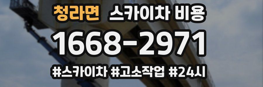 청라면 스카이차 비용