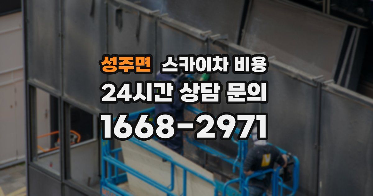 성주면 스카이차 비용