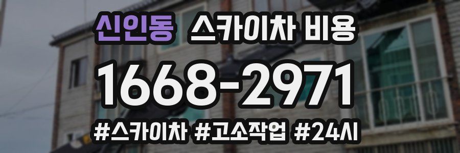 신인동 스카이차 비용