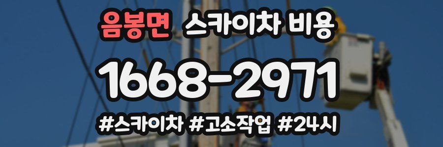 음봉면 스카이차 비용