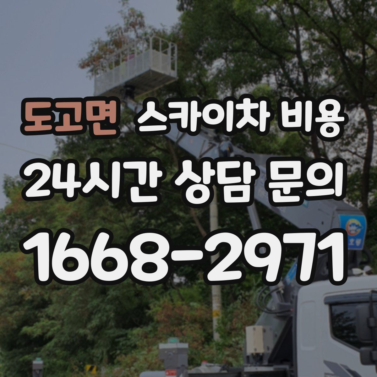 도고면 스카이차 비용