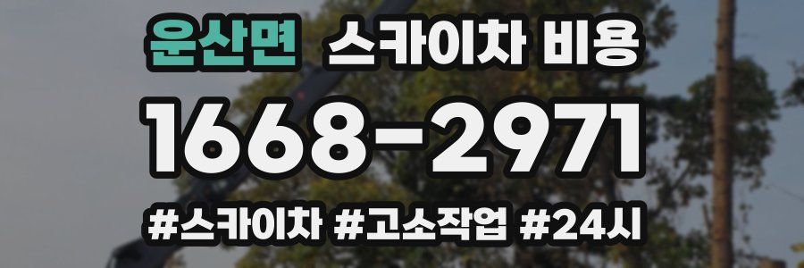 운산면 스카이차 비용