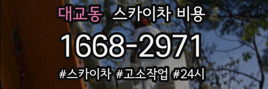 대교동 스카이차 비용