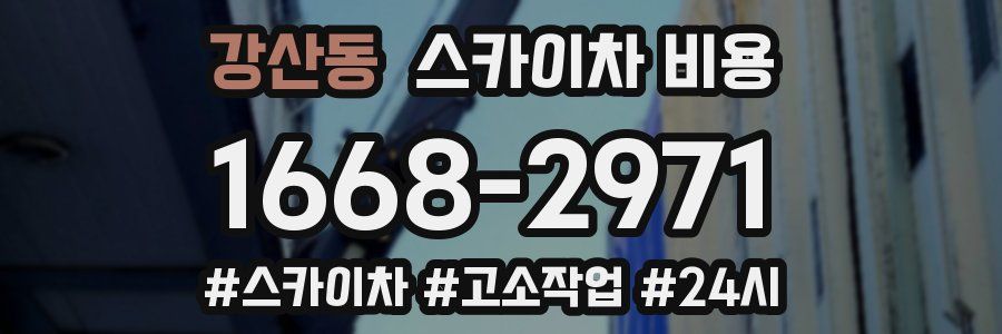 강산동 스카이차 비용