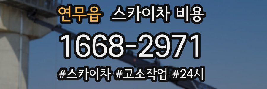 연무읍 스카이차 비용