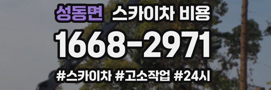 성동면 스카이차 비용