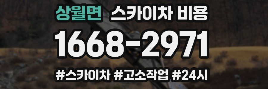 상월면 스카이차 비용