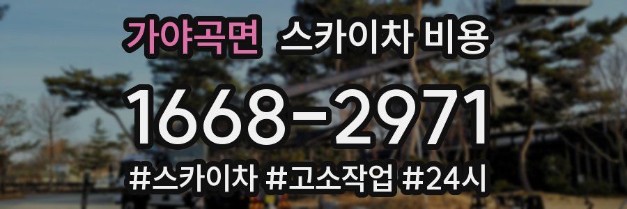 가야곡면 스카이차 비용