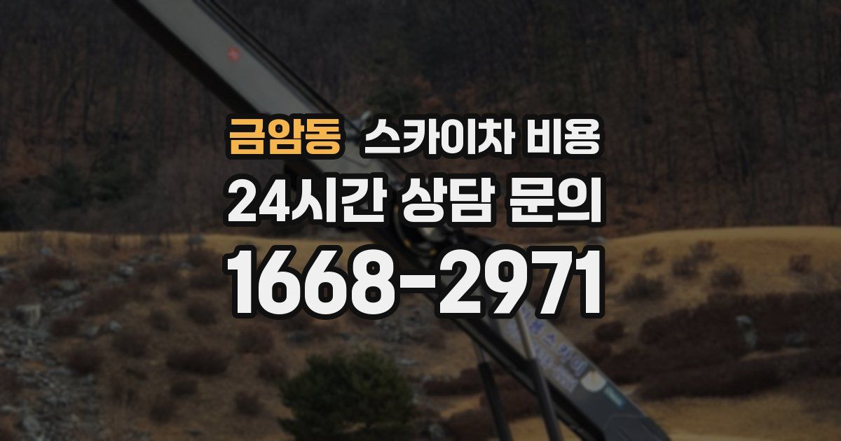 금암동 스카이차 비용
