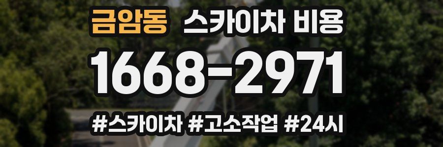 금암동 스카이차 비용