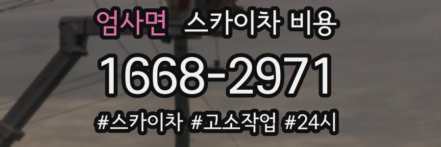 엄사면 스카이차 비용