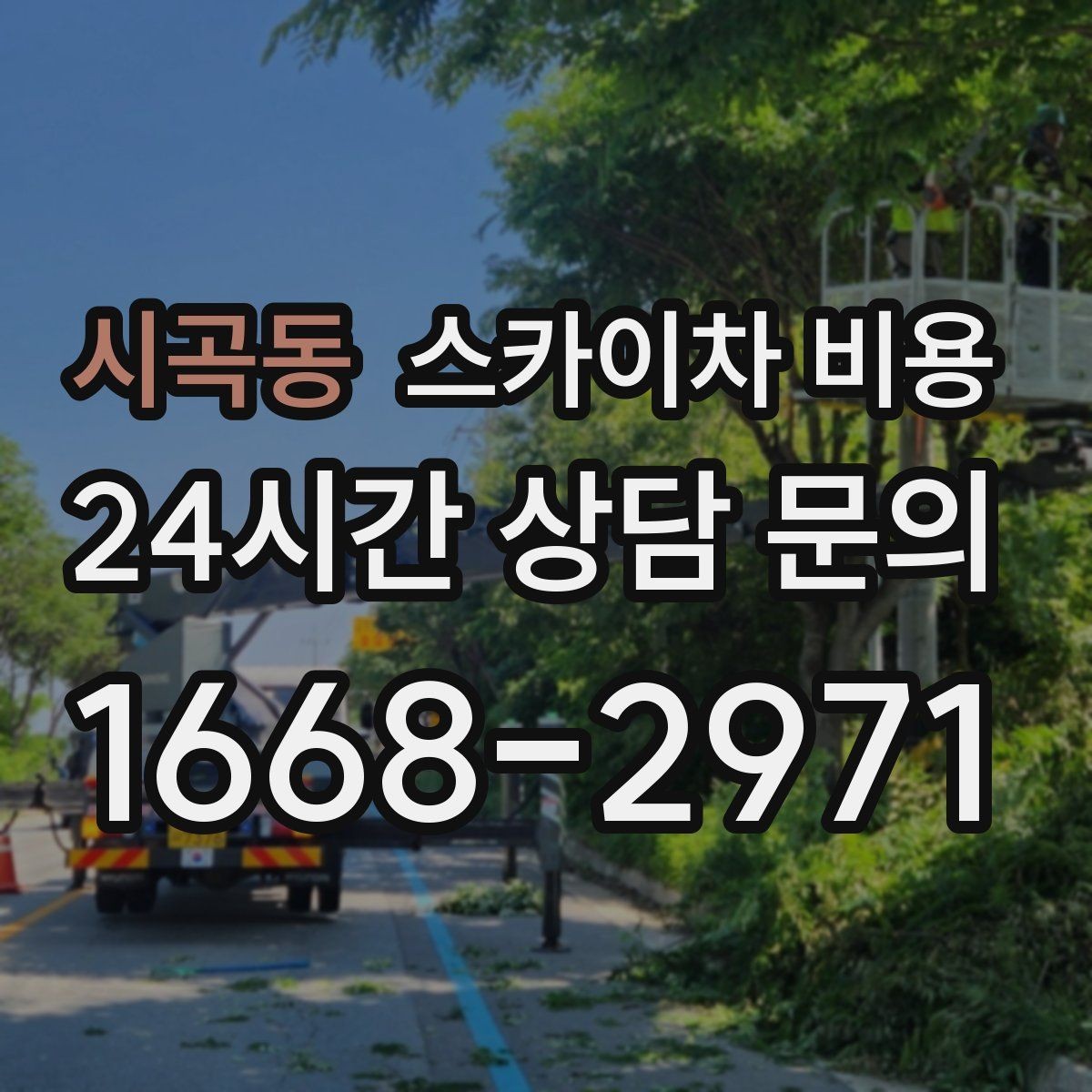 시곡동 스카이차 비용 대기 포함 견적을 받을 때 체크할 점