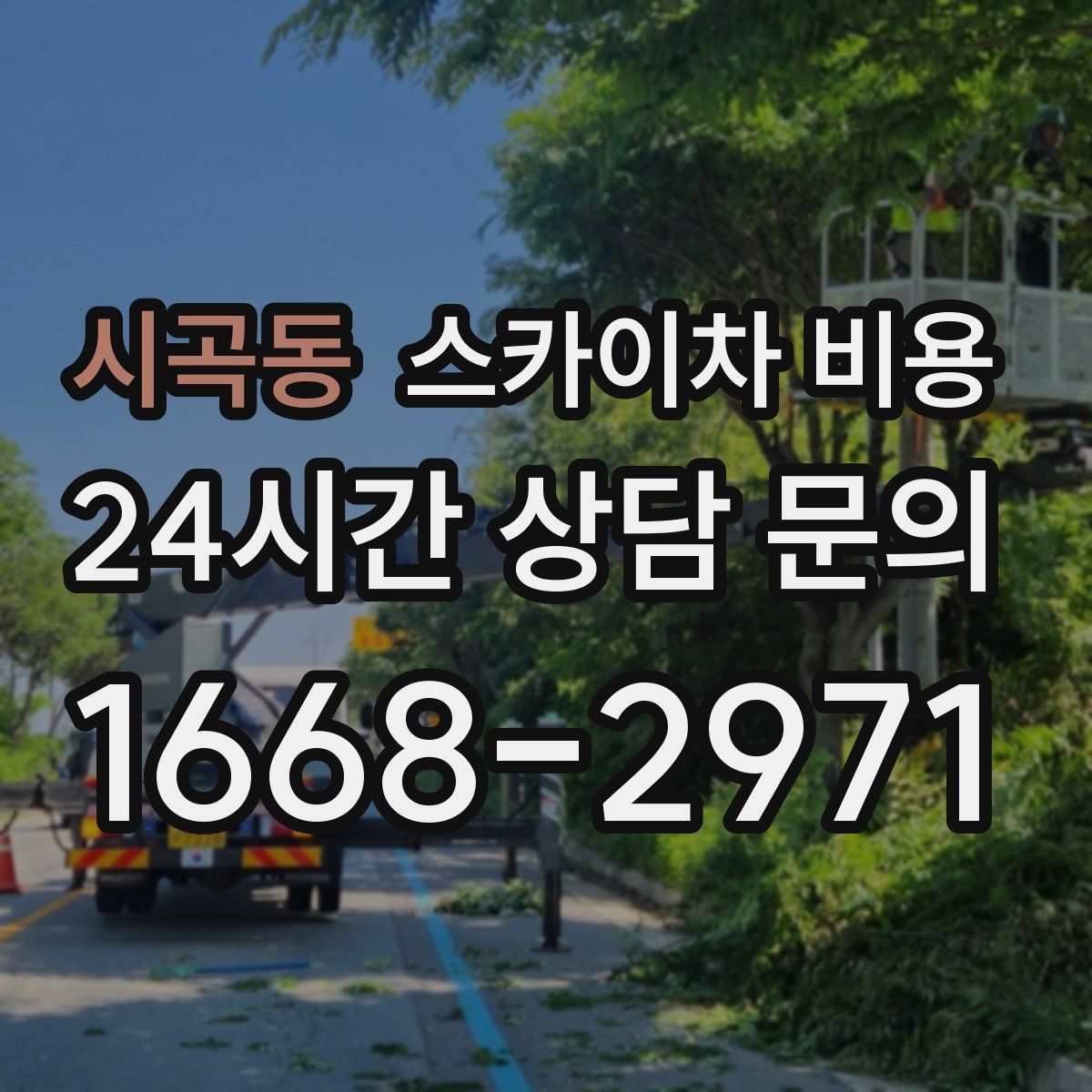 시곡동 스카이차 비용