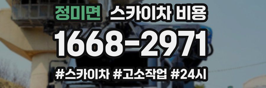 정미면 스카이차 비용