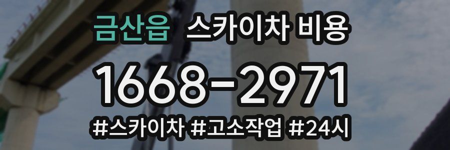 금산읍 스카이차 비용