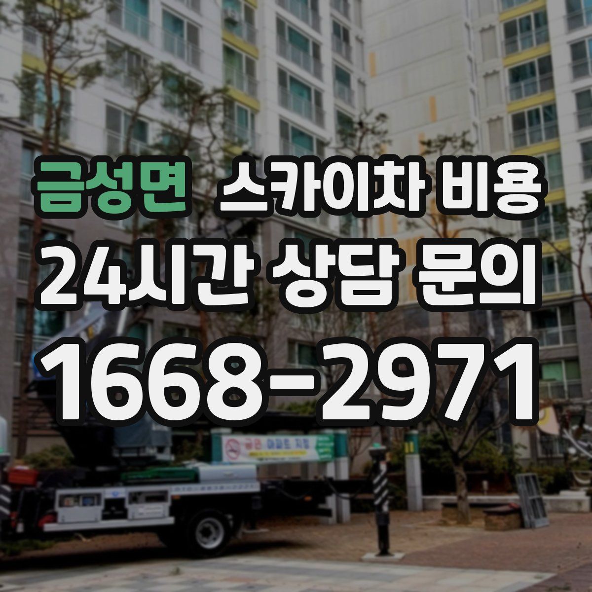 금성면 스카이차 비용