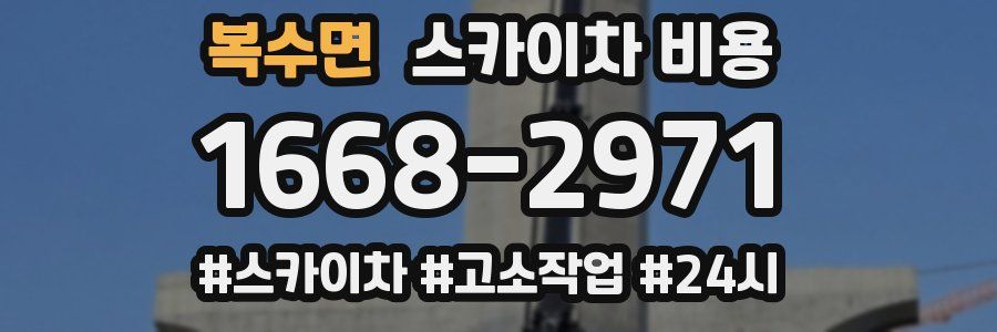 복수면 스카이차 비용