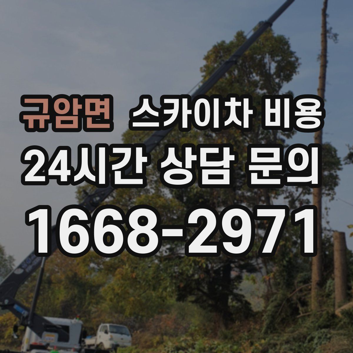 규암면 스카이차 비용