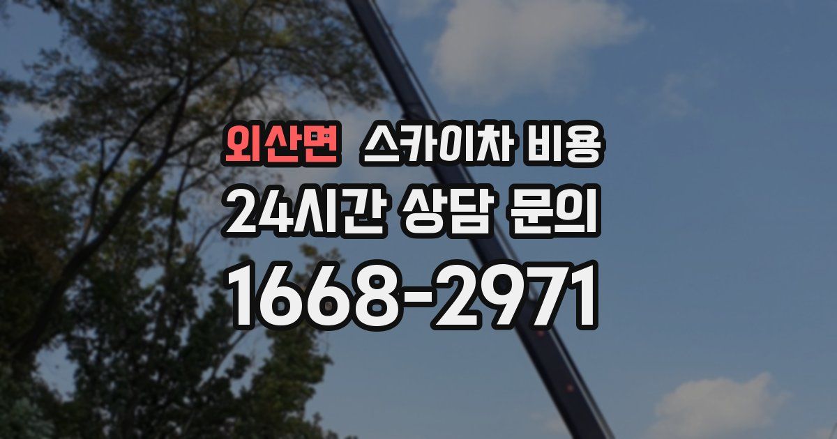 외산면 스카이차 비용