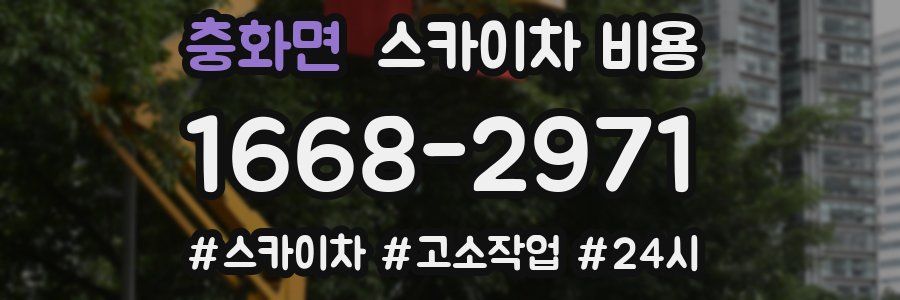 충화면 스카이차 비용